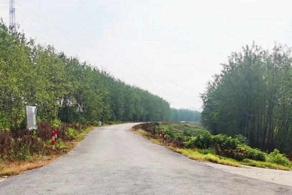 一種道路縱橫斷面測量的高效方法，效率提升5倍以上!
